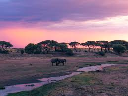 Ruaha